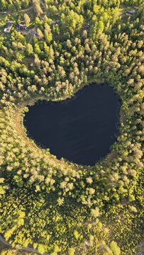 defaultHigh-angle perspective of a beautiful heart shape lake surrounded by lush pine trees during golden hour. Professional drone photography showcasing pristine Swedish landscape.