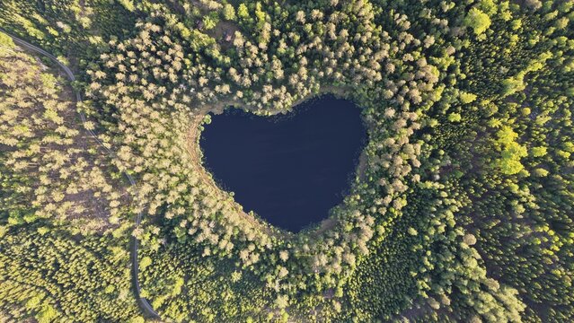 defaultHigh-angle perspective of a beautiful heart shape lake surrounded by lush pine trees during golden hour. Professional drone photography showcasing pristine Swedish landscape.