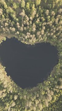High-angle perspective of a beautiful heart shape lake surrounded by lush pine trees during golden hour. Professional drone photography showcasing pristine Swedish landscape.