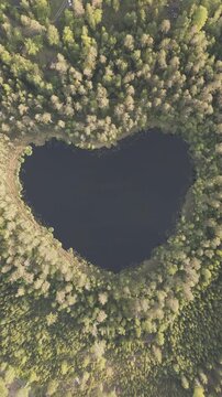 High-angle perspective of a beautiful heart shape lake surrounded by lush pine trees during golden hour. Professional drone photography showcasing pristine Swedish landscape.