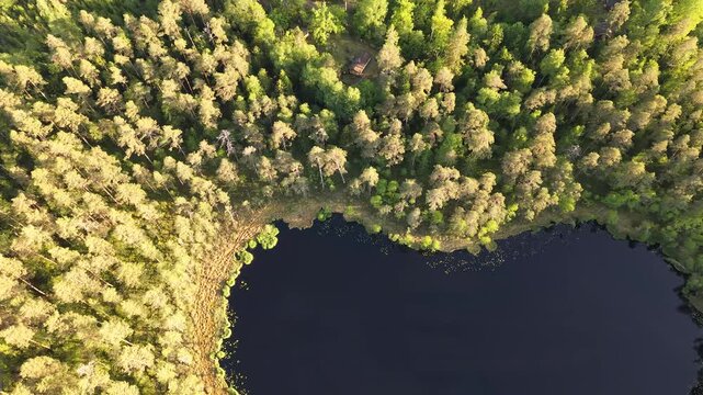 High-angle perspective of a beautiful heart shape lake surrounded by lush pine trees during golden hour. Professional drone photography showcasing pristine Swedish landscape.