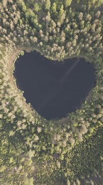 High-angle perspective of a beautiful heart shape lake surrounded by lush pine trees during golden hour. Professional drone photography showcasing pristine Swedish landscape.