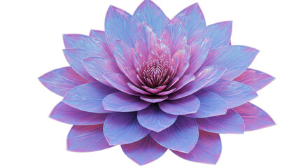 Obraz premium Vibrant Purple Water Lily Flower Isolated on Transparent Background with Delicate Petals