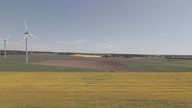 High-angle perspective of a driving road in the Swedish countryside. Professional drone showcasing colorful fields, evergreen pine trees, and a soft blue horizon at daylight.
