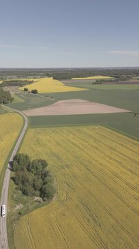 High-angle perspective of a driving road in the Swedish countryside. Professional drone showcasing colorful fields, evergreen pine trees, and a soft blue horizon at daylight.