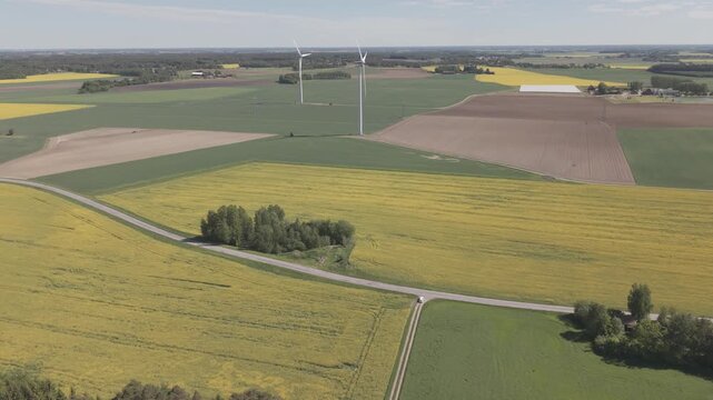 High-angle perspective of a driving road in the Swedish countryside. Professional drone showcasing colorful fields, evergreen pine trees, and a soft blue horizon at daylight.