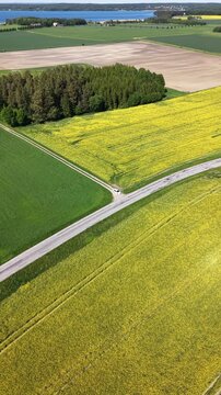 High-angle perspective of a driving road in the Swedish countryside. Professional drone showcasing colorful fields, evergreen pine trees, and a soft blue horizon at daylight.