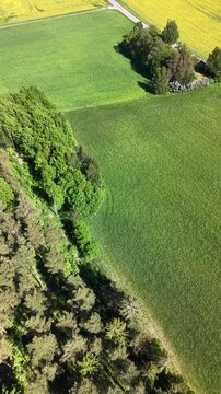 High-angle perspective of a driving road in the Swedish countryside. Professional drone showcasing colorful fields, evergreen pine trees, and a soft blue horizon at daylight.