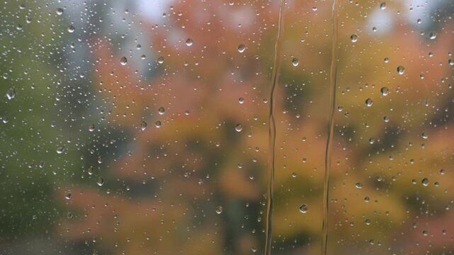 Rain drops on window pane with blurred autumn foliage background showing fall colors through wet glass during a rainy day outdoors creating a calm melancholy mood of seasonal weather changing outside
