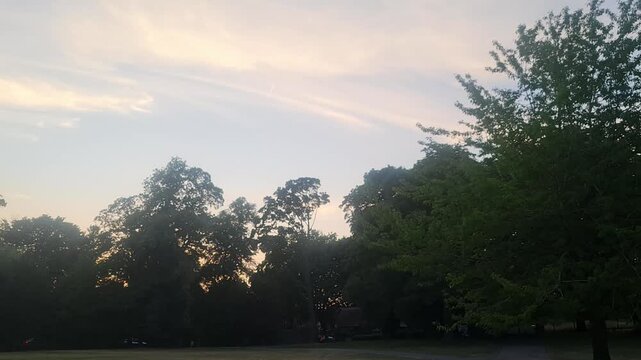 Trees at Local Public Park of Luton City England UK, Footage Was Captured During Walk on July 9th, 2026