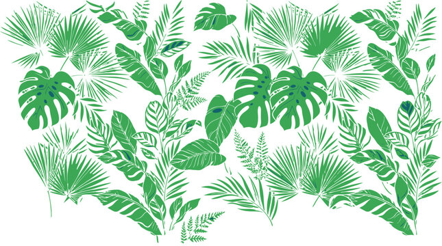Tropical leaves pattern design with various green palm and monstera plants
