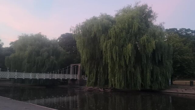 Trees at Local Public Park of Luton City England UK, Footage Was Captured During Walk on July 9th, 2026