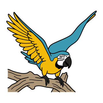Blue and Yellow Macaw with Wings Up