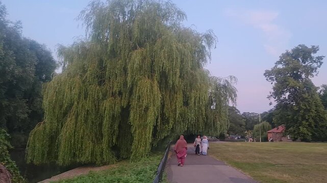Trees at Local Public Park of Luton City England UK, Footage Was Captured During Walk on July 9th, 2026