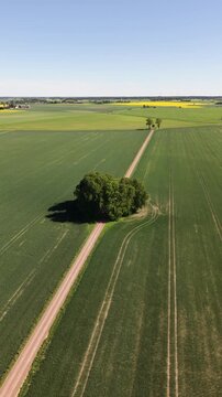 High-angle perspective of the long straight path to Bj&auml;rka-S&auml;by Castle, south of Link&ouml;ping. Professional drone showcasing the countryside landscape of &Ouml;sterg&ouml;tland province.
