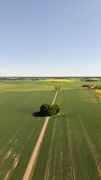 High-angle perspective of the long straight path to Bj&auml;rka-S&auml;by Castle, south of Link&ouml;ping. Professional drone showcasing the countryside landscape of &Ouml;sterg&ouml;tland province.