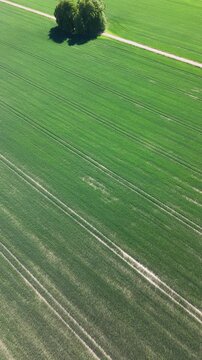 High-angle perspective of the long straight path to Bj&auml;rka-S&auml;by Castle, south of Link&ouml;ping. Professional drone showcasing the countryside landscape of &Ouml;sterg&ouml;tland province.
