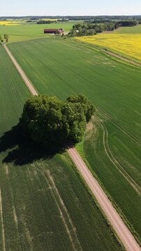 High-angle perspective of the long straight path to Bj&auml;rka-S&auml;by Castle, south of Link&ouml;ping. Professional drone showcasing the countryside landscape of &Ouml;sterg&ouml;tland province.