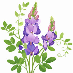 Naklejka premium Purple lupine flowers with green leaves