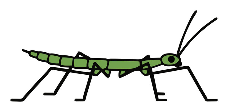 Stick insect crawling side view vector illustration .... Generative AI