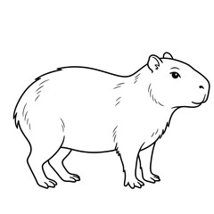 Fototapeta premium capybara line art vector illustration
