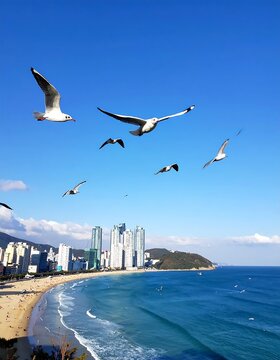 Seagulls Flying Over a Coastal City with Beach and Ocean