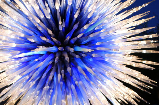 Chihuly Glass Star #3