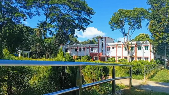 Beautiful school building with large green trees and clear blue sky on a sunny day in a peaceful campus garden setting for education and learning in the bright summer season