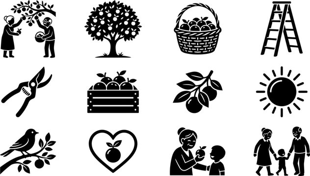 Set of monochrome apple harvesting icons and orchard farming elements.