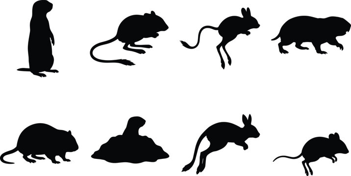 Vector silhouette set of small wild rodents featuring prairie dog mouse rat and jerboa isolated on white