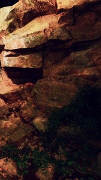 A view of large rocks surrounded by green plants in a natural setting. The area is dimly lit during the evening. The natural elements create a rugged scene.