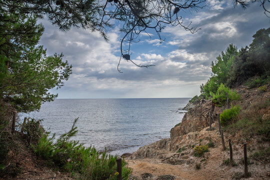Panoramic view of the Mediterranean Sea from Presqu'ile de Giens in Hyeres, French Riviera, with rocky coastline, pine trees, coastal path, cloudy sky and distant horizon on the Var coast in france.
