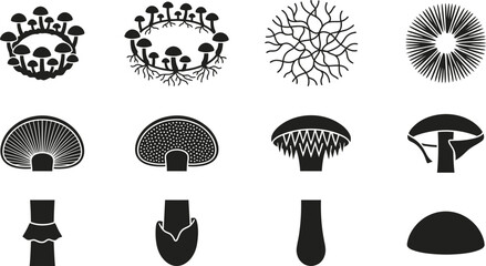 Set of black and white mushroom icons and botanical elements. © acehair