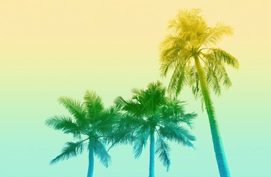 a tropical design featuring three palm trees viewed from a low angle the background is a soft color gradient transitioning from pale yellow at the top to a light cyan blue at the bottom Generative AI