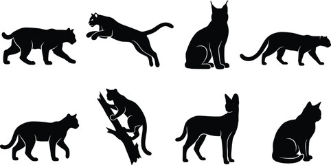 Vector collection of wild cat silhouettes featuring cougars, pumas, and lynx in various walking and climbing poses © Rokon