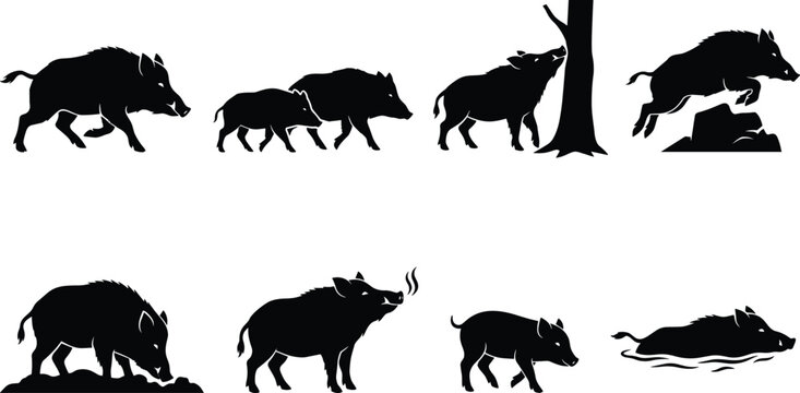 Vector collection of wild boar silhouettes featuring feral hogs running, jumping, rooting, and swimming with piglets