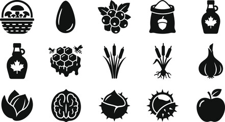 Set of organic food and natural ingredient icons. © Wahid
