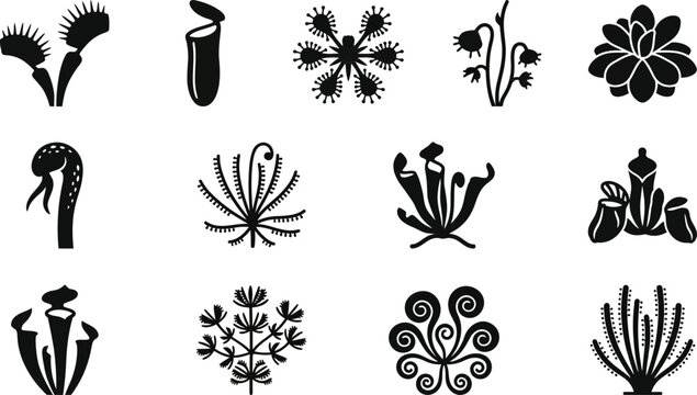 Set of Various Carnivorous Plants Silhouette Icons.
