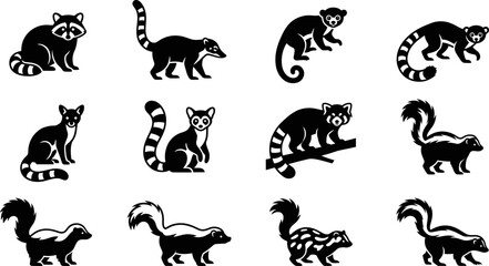 Set of monochrome vector silhouettes of raccoons lemurs and skunks. © Wali