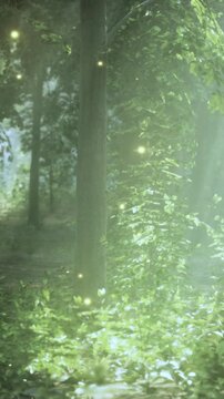 Trees stand tall in a green forest as soft sunlight shines through the leaves. Tiny glowing lights fill the air, creating a magical moment at dusk in nature.