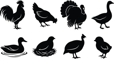 Vector collection of farm poultry bird silhouettes featuring a rooster hen turkey goose duck and baby chick © Rokon