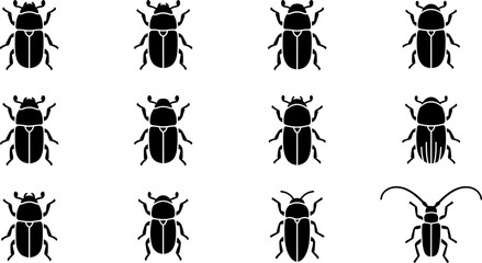 Set of black beetle insect icons for nature design. © Anggun