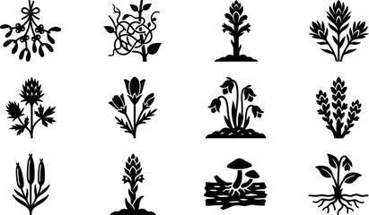 Set of black and white botanical plant and flower icons. © Anggun
