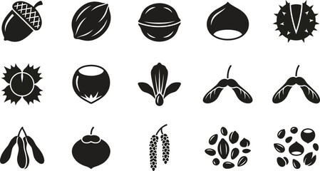 Set of black and white icons representing various nuts and tree seeds. © jenci