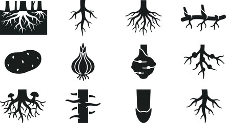 Set of various plant roots and vegetable tuber icons. © jenci