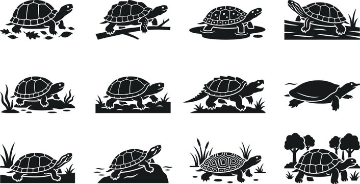 Set of twelve black silhouette illustrations of turtles in various poses.