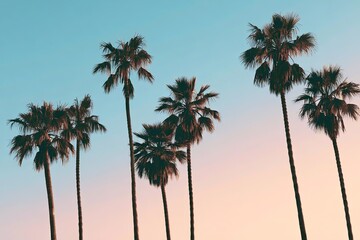 Fototapeta premium Silhouetted palm trees against a colorful, gradient sunset sky