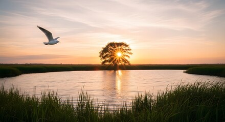 Obraz premium Sunset over lake with tree and flying seagull