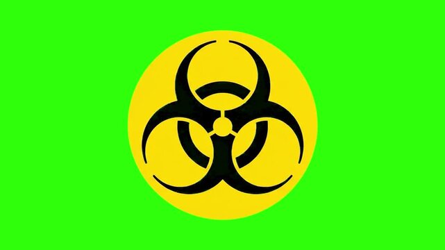 A classic black biohazard icon on a solid yellow circle stands out vividly against a bright green screen background. This visual asset is highly effective for medical animations, virus outbreak warnin