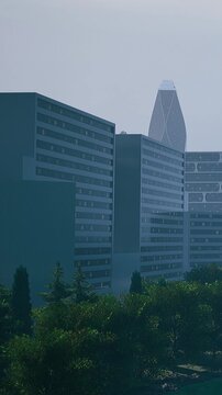 A group of tall buildings stands among trees in a city area. The scene shows a misty atmosphere. The buildings are modern and the skyline is partially visible through the fog.